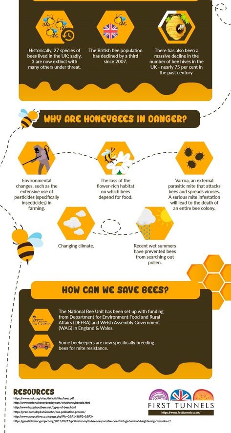 The Importance Of Honey Bees - The Diary Of A Jewellery Lover Bee Identification, Honey Facts, Honey Bee Facts, School Advertising, Honey Logo, Beekeeping For Beginners, Bee Classroom, Bee Propolis, Honey Brand