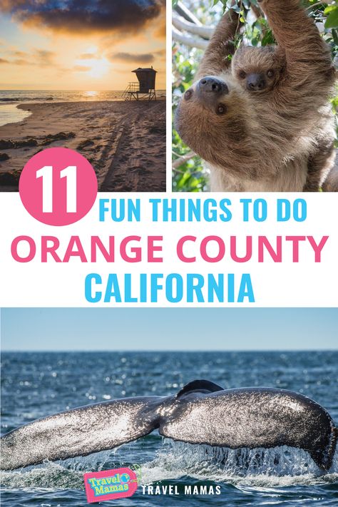 11 Fun Things To Do in Orange County California Oc California, California With Kids, Knotts Berry Farm, Los Angeles Travel, Berry Farm, California Vacation, Us Road Trip, Us Travel Destinations, Family Vacation Destinations