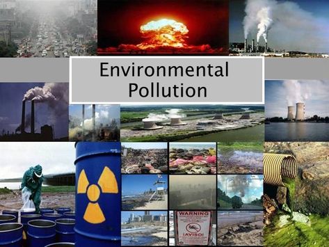 Pollution in the environment is one of the most challenging problems faced by humanity in our times. With each passing year, it is causing grave and irreparable damage to the earth.  We are living in the Anthropocene era, where human activities have immense impact on the biosphere. More change has happened in the past century than My Teacher Essay, Short Essay, Persuasive Essays, Environmental Pollution, Human Activity, Essay Topics, Our Environment, Environmental Issues, Air Pollution