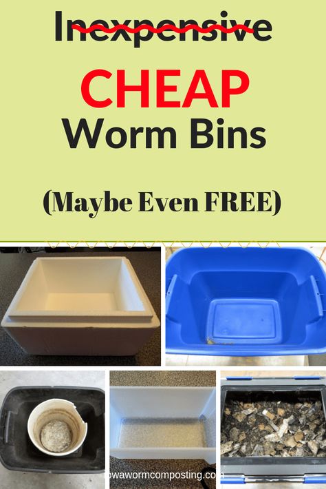 Worm Farm Diy, Worm Bins, Worm Castings Tea, Worm Beds, Worm Composting Bin, Composting Ideas, Red Wiggler Worms, Helping Nature, Red Wigglers