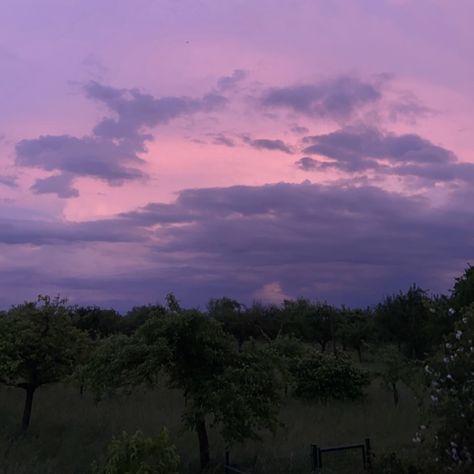 Purple Field Aesthetic, Purple Field Of Flowers, Purple Earthy Aesthetic, Summer Aesthetic Purple, Cottagecore Aesthetic Purple, Purple Western Aesthetic, Purple Landscape Aesthetic, Summer Purple Aesthetic, Purple Cottagecore Aesthetic