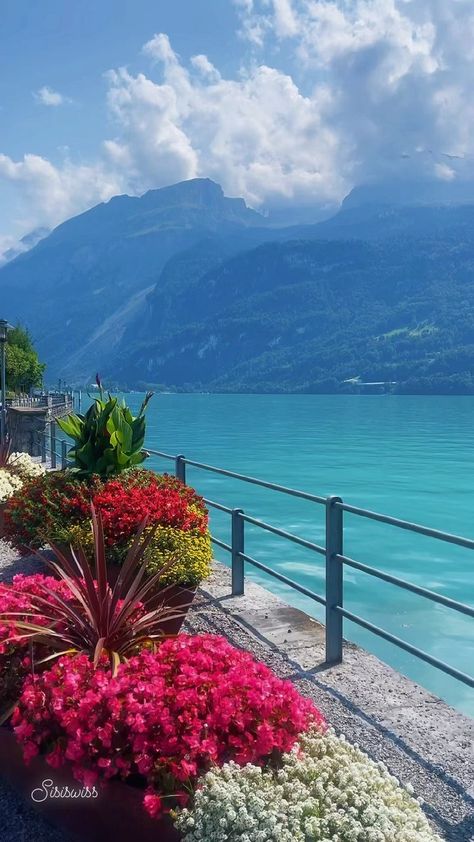 landscapes_sisiswiss on Instagram: Beautiful ✨𝓑𝓻𝓲𝓮𝓷𝔃🇨🇭 - - - - - - - - - 📍Brienzersee - - - #switzerland #swissalps #swissmountains #brienzersee #brienz #exploreswitzerland… Brienz Switzerland, Best Of Switzerland, Nature Photography Trees, Backpacking Europe Packing List, Mexico Destinations, Beautiful Flowers Photos, Best Pics, Beautiful Locations Nature, Travel List