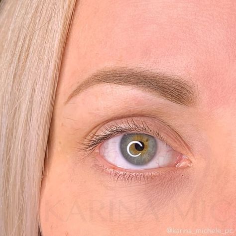 Microblading or Powder Brow — Karina Michele Micro Blading For Blondes, Powder Brows For Blondes, Micro Blading Vs Powder Brow, Micro Blading Eyebrow Shapes, Microblading For Blondes, Powder Brows Blonde Hair, Light Brown Microblading Eyebrows, Micro Blading Eyebrows Before And After, Natural Powder Brows