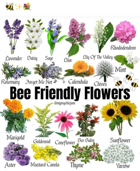 Bee Friendly Flowers, Bee Friendly Plants, Bee Friendly Garden, Bee Garden, Bee Friendly, Have Inspiration, Pollinator Garden, Garden Yard Ideas, Save The Bees