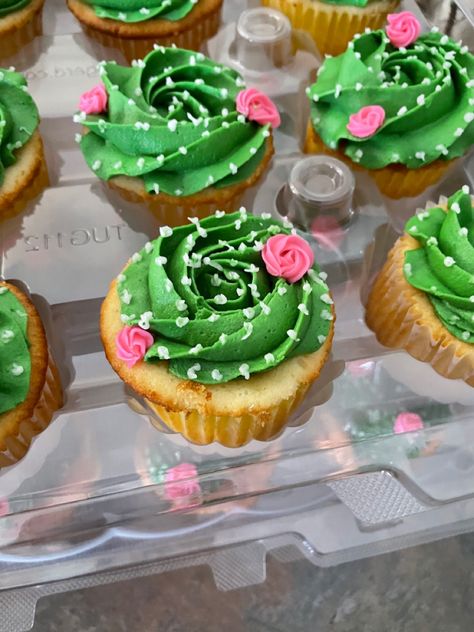 Mexican Party Cupcake Ideas, Succulent Petit Fours, May Cupcake Ideas, Unique Cupcake Decorating Ideas, Mexican Birthday Cupcakes, Mexican Fiesta Cupcake Ideas, Pastel Green Cupcakes, Cinco De Mayo Cupcakes Ideas, Desert Theme Cupcakes