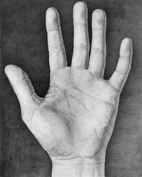 Graphite, edited in photoshop ~5 hrs: 2 hrs planning, research and adjusting into the hand, 3 hrs rendering Used model reference and photo references because the hand skeleton I used was in bad rep... Art Sketches Doodles, Hand Palm, Human Anatomy Drawing, Hand Drawing Reference, Hand Reference, Leaf Drawing, Sketches Tutorial, Murals Street Art, Hand Sketch