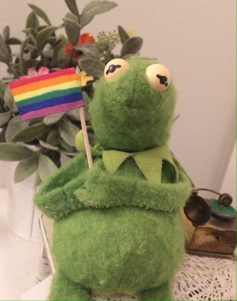 gay kermit this is my wallpaper lmao Kermit The Frog Funny, Memes Kermit, Kermit Meme, Frog Funny, Kermit Funny, Gay Aesthetic, Kermit The Frog, Rainbow Flag, Wholesome Memes