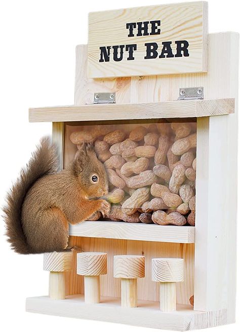 Squirrel Feeder Diy, Squirrel Feeder, Bird Houses Ideas Diy, Nut Bar, Wild Bird Feeders, Porch Wall, Picnic Tables, Outdoor Decor Backyard, Plastic Cover