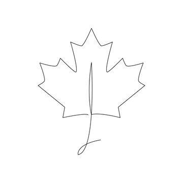 Maple Leaf Line Art, Maple Leaf Outline, Maple Leaf Tattoos, Leaf Line Art, Canada Tattoo, Wire Creations, Cactus Tattoo, Drawing Lines, Leaf Outline