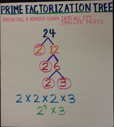 Prime Factorization Tree Prime Factorization Anchor Chart, Math Rules, Prime Factorization, Teaching Math Strategies, Teaching Algebra, Sixth Grade Math, Middle School Math Classroom, Math Charts, Math Anchor Charts