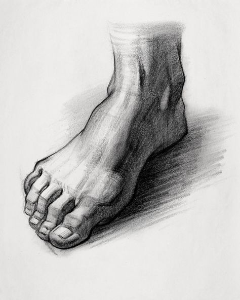 We’ve stepped into the final body part of the anatomy course - FEET! Learn how to construct the foot with basic forms, tips on how to draw dynamic feet, and how teachers like Bridgman stylize them.  - proko.com/425 Feet Drawing, Body Part Drawing, Drawing Legs, Human Anatomy Drawing, Painting Sketch, Anatomy Sketches, Anatomy For Artists, Figure Sketching, Portrait Sketches