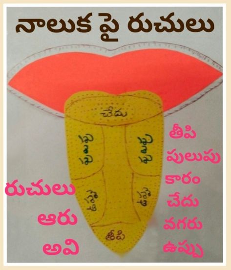 Tlm For Primary Classes, Telugu Tlm, Telugu Letters, Telugu Language, 5th Class, Alphabet Charts, Valentine Photo, Charts For Kids, Study Table