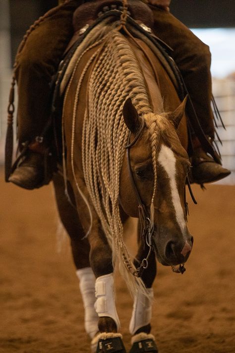 “A horse is a thing of beauty... none will tire of looking at him as long as he displays himself in his splendor.” – Xenophon #WesternWednesday #westernlifetoday #westernlife #reining #reininghorse #nrha #performancehorse #beautifulhorse Horse Mane Hairstyles, Western Horse Hair Styles, Horse Hair Styles, Braided Horse Mane, Long Mane Braids Horse, Nrha Reining, Reining Horses Photography, Western Reining Horse, Horses Tacked Up Western