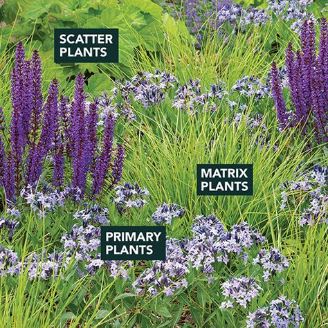 Matrix Planting, Sustainable Garden Design, Naturalistic Garden, Log Planter, Being In Nature, Digging Deeper, Prairie Garden, Meadow Garden, Planting Plan