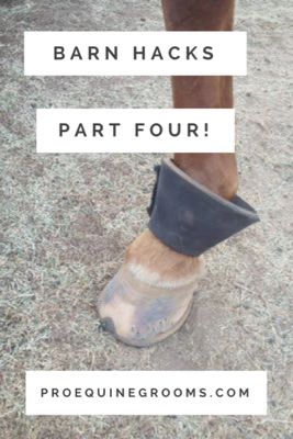 Horse Workout, Stable Hacks, Horse Hacks, Horse Nutrition, Farm Hacks, Horse Farm Ideas, Barn Hacks, Diy Horse Barn, Bell Boots