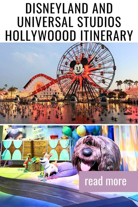 A full Disneyland and Universal Studios Hollywood itinerary plan to visit the parks on a family vacation. Hollywood Hotel, California Trip, Vacation Itinerary, Itinerary Planning, Universal Studios Hollywood, Downtown Disney, Family Travel Destinations, Trip Itinerary, California Adventure