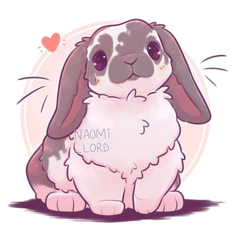 Easy Kawaii Doodles, Kawaii Animals Drawings, Naomi Lord Art, Naomi Lord, Rabbit Drawing, Bunny Drawing, Cute Kawaii Animals, Cute Animal Drawings Kawaii, Bunny Art