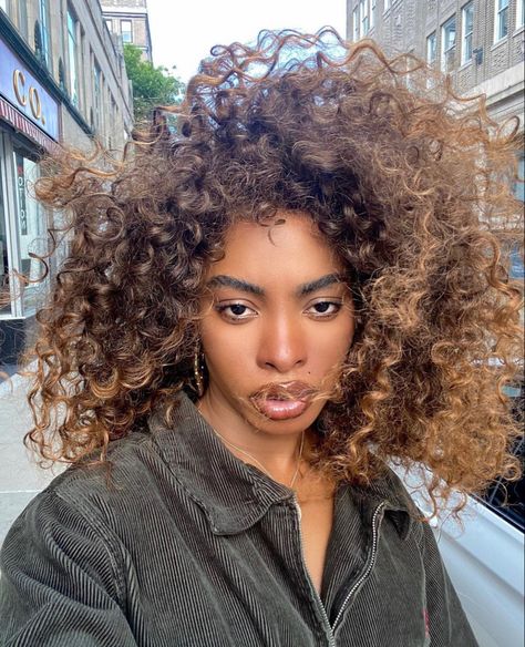 Natural Hair Highlights, Dyed Curly Hair, Highlights Curly Hair, Honey Brown Hair, Brown Curly Hair, Colored Curly Hair, Dyed Natural Hair, Honey Hair, Hairdos For Curly Hair