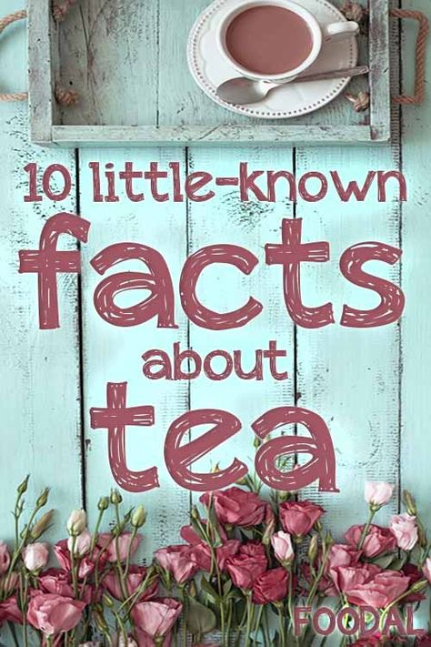 10 Little-Known Facts about Tea | Foodal Sipology By Steeped Tea Games, Fun Facts About Tea, Relief Society Tea Party, Tea Party Conversation Starters, Tea In Witchcraft, Easy Tea Party Ideas, Tea Party Fundraiser Ideas, Tea Party Trivia Free Printable, Senior Tea Party Ideas