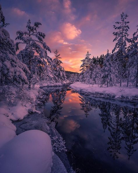 Best Pictures Gallery on Instagram: “🔹Picture of the day: @photosbyroger 💫 . 🏆Congratulations🏆 . ___________________________________________ 🔸 Follow: @bestpicturesgallery & 🔸…” Winter Sunset, Winter Wallpaper, Winter Scenery, Winter Beauty, Snow Scenes, Natural Scenery, Sunset Photos, Landscape Wallpaper, Winter Photography