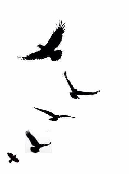 Bird Silhouette Tattoos, Mundo Hippie, Bird Tattoo Men, Vogel Silhouette, Shadow Tattoo, Eagle Silhouette, Black Bird Tattoo, Flying Bird Tattoo, Half Sleeve Tattoos Drawings