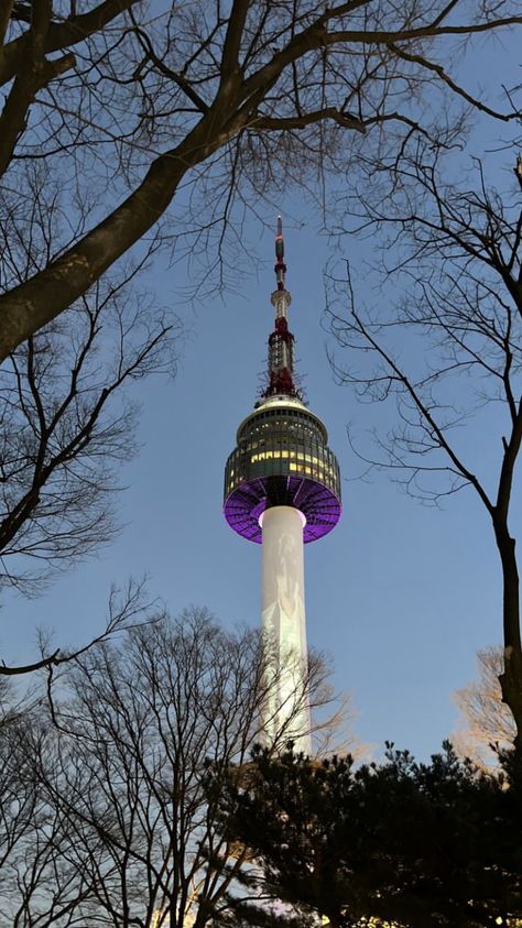 Namsan Tower, South Korea Seoul, Cute Animal Clipart, Animal Clipart, Dream Destinations, South Korea, Seoul, Aesthetic Wallpapers, Travel Inspiration