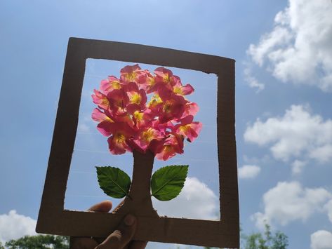 Frame Flower, Pressed Flower Crafts, Cardboard Frame, Easy Frame, Panda Art, Outdoor Crafts, Leaf Crafts, Origami Crafts Diy, Art N Craft