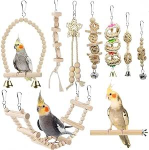 Parakeet Toys, Australian Parrots, Climbing Ladder, Bird Cage Accessories, Bird Accessories, Parrot Perch, Bird Parrot, Parrot Toys, Finches