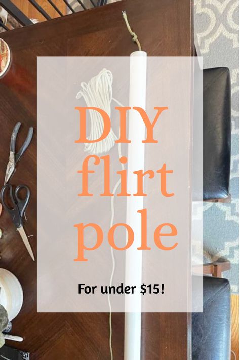 Want to learn how to make a DIY flirt pole for your dog? In our guide, we'll take you through it in 3 easy steps. Your dog will love this cheap enrichment idea! Dog Flirt Pole Diy, Flirt Pole For Dogs Diy, Dog Stimulation Diy Ideas, Dog Enrichment Ideas Diy, Diy Dog Enrichment, Dog Enrichment Ideas, Canine Enrichment, Enrichment Projects, Tetherball