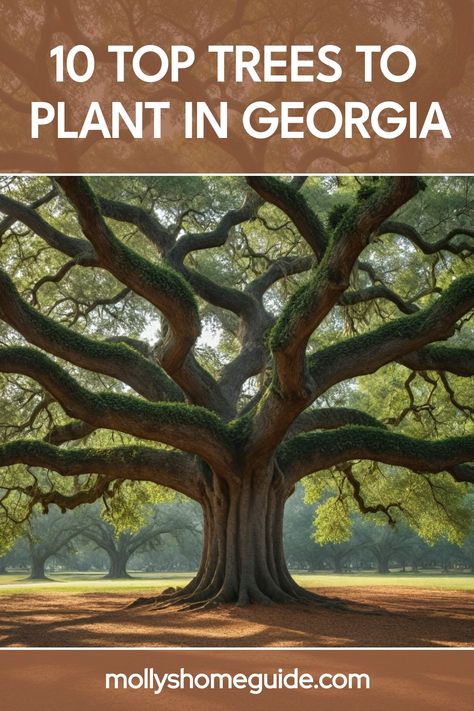 Discover the best trees to plant in Georgia for a thriving landscape. Whether you prefer evergreen or deciduous trees, Georgia native trees offer beauty and functionality. From iconic Southern magnolias to vibrant dogwoods, explore the top choices for planting trees in Georgia. Enhance your outdoor space with these best trees that are suited for Georgia's unique climate and soil conditions. Southern Magnolia Tree, Eastern Redbud, Pecan Tree, Southern Magnolia, Planting Trees, Thriving Garden, Magnolia Trees, Pink And White Flowers, How To Grow Taller