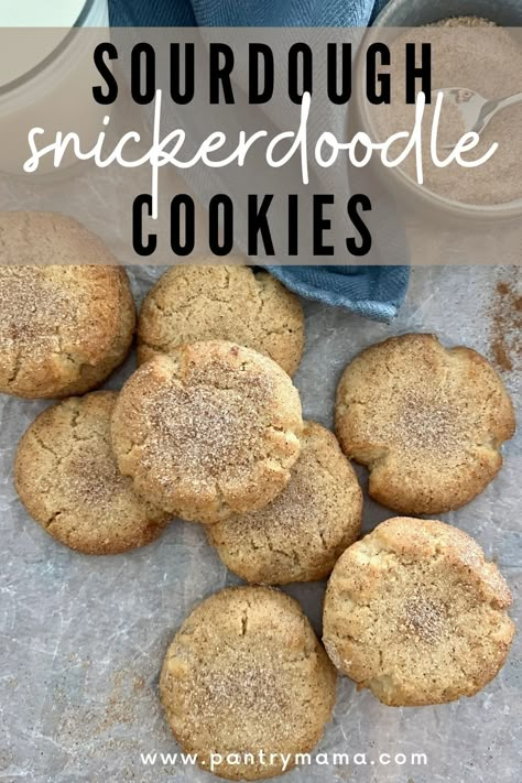 Sourdough Snickerdoodle Cookies Recipe, Cookies With Sourdough Discard, Sour Dough Cookie Recipe, Snickerdoodle Sourdough Cookies, Sourdough Starter Discard Cookies, Discard Christmas Cookies, Sourdough Discard Snickerdoodles, Sourdough Discard Snickerdoodle Cookies, Sourdough Dessert Recipe