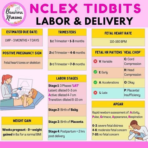 Iv Piggyback Nursing, Labor And Delivery Surgical Tech, Maternal Newborn Nursing Notes, Labor And Delivery Nurse Notes, Maternity Nursing Study, L&d Nurse, Nursing Ob, Maternal Nursing, Beautiful Nursing