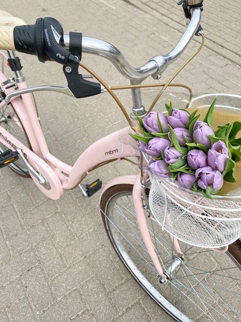 Pink Bicycle Aesthetic, Pink Bike Aesthetic, Tulips Pastel, Pink Moped, Soft Pastel Aesthetic, Receive Flowers, Bicycle Aesthetic, Cute Bike, Aesthetic Bike