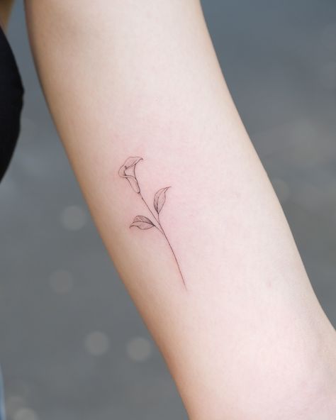 Calla lily ..🌸 • • • • #tattoo #tattoos #tattoogirl #tattooideas #smalltattoo #smalltattoos #smalltattooideas #littletattoo #tinytattoo #flowertattoo #minitattoo #minimaltattoo #fineline #finelinetattoo #finelinetattooartist #milanotattoo Minimal Lily Tattoo, Fineline Lily Tattoo, Fine Line Lily Tattoo, Calla Lily Tattoo, Lily Tattoos, Lillies Tattoo, Lily Flower Tattoos, Lily Tattoo, Elegant Tattoos