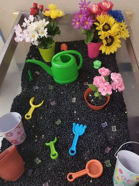 Baby Room Nursery School, Garden Sensory Bin, Garden Sensory, Pots Flowers, Toddler Sensory Bins, Toddler Sensory, Spring Preschool, Sensory Boxes, Daycare Activities