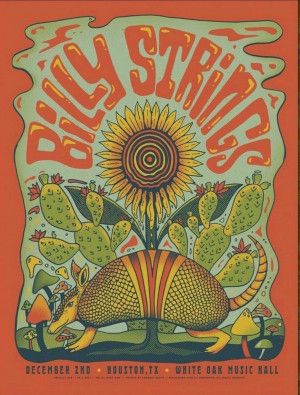 Billy Strings, Hippie Posters, Rock Poster Art, Concert Poster Design, Music Festival Poster, Music Collage, Graphic Poster Art, Poster Design Inspiration, Concert Poster