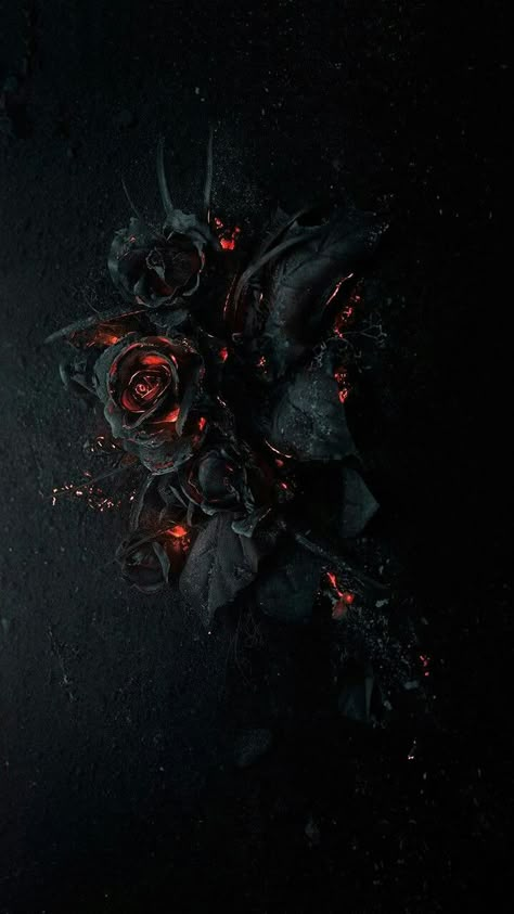 Black Roses Wallpaper, Black And Gold Aesthetic, Black And Red Roses, Tuf Gaming, Asus Tuf, Goth Wallpaper, Rose Flower Wallpaper, Dark Phone Wallpapers, Gaming Laptop