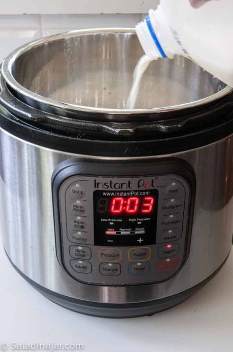 More Than Six Ways To Incubate Yogurt Without a Yogurt Maker Greek Yogurt In Yogurt Maker, Making Yoghurt At Home, Making Yogurt In Instant Pot, Homemade Yogurt Starter Culture, Rice Maker, Make Greek Yogurt, Yogurt Makers, Autoimmune Diet, Making Yogurt