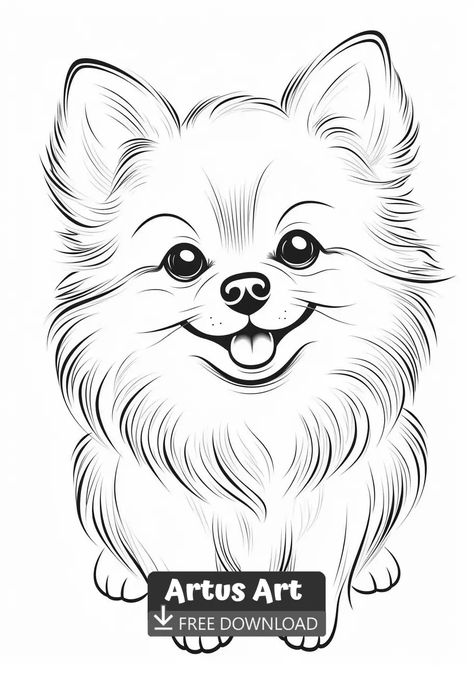 Cute Pomeranian Coloring Page - Free PDF Download Coloring Page. #pomeraniancoloringpage #cutepomeraniancoloringpage #pomeranian Drawings Of Animals, Easy Disney Drawings, Pencil Drawings Of Animals, Cute Pomeranian, Animal Drawings Sketches, Easy Love Drawings, Lotus Mandala, Detailed Coloring Pages, Dog Coloring Page