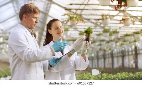 Agricultural Engineering High Res Stock Images | Shutterstock Industrial Greenhouse, Delhi University, Agricultural Engineering, Computer Photo, Plant Breeding, University Of Delhi, Online Interview, Job Vacancy, Plant Science