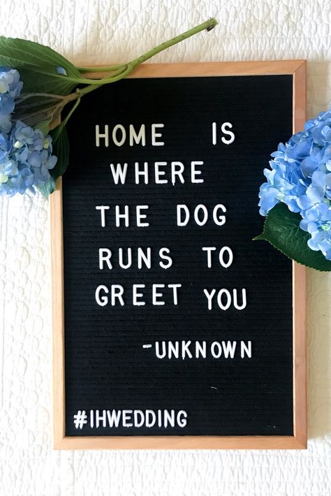 "Home is where the dog runs to greet you."  . . . #dogquotes #dogsinweddings #weddingplanning Letter Board Quotes Dogs, Dog Letterboard, Backyard Cleanup, Letterboard Quotes, Message Board Quotes, Board Quotes, Running Quotes, Dog Runs, Message Board