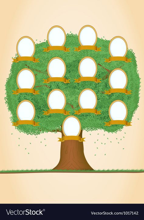 Letter T Crafts, Genealogical Tree, Family Tree Clipart, Family Tree For Kids, Blank Family Tree, History Illustration, T Craft, Tree Frame, School Images