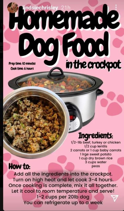 Dog Food Bowl Ideas, Breakfast Ideas For Dogs, Dog Meatloaf Recipe, Homemade Dog Food Crockpot, Dog Food Recipes Crockpot, Home Cooked Dog Food, Pet Treats Recipes, Easy Dog Treat Recipes, Diy Dog Food