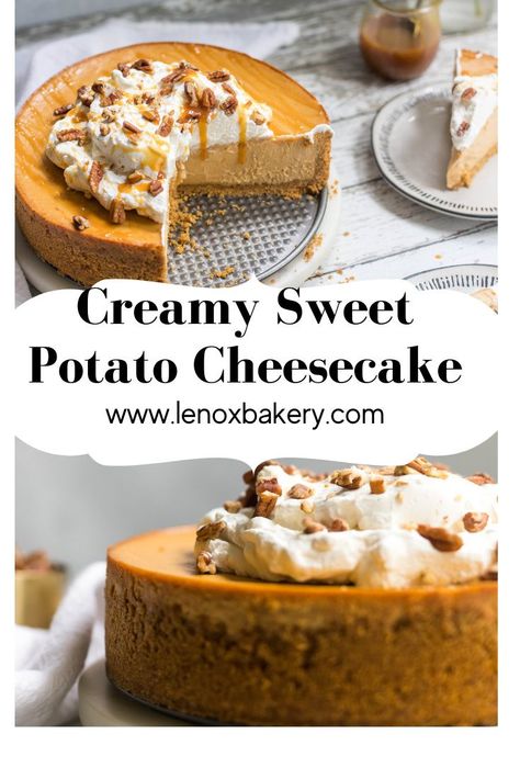 Sweet Potato Maple Cheesecake, Baked Sweet Potato Dessert, Sweet Potato Pie Cheesecake Recipe, Sweet Potatoes Cheesecake, Sweet Potato Swirl Cheesecake, Sweet Potato Cheesecake Cupcakes, Sweet Potato Pie Cheesecake Swirl, Sweet Potato Cheesecake Recipes, Sweet Potato Cake Southern