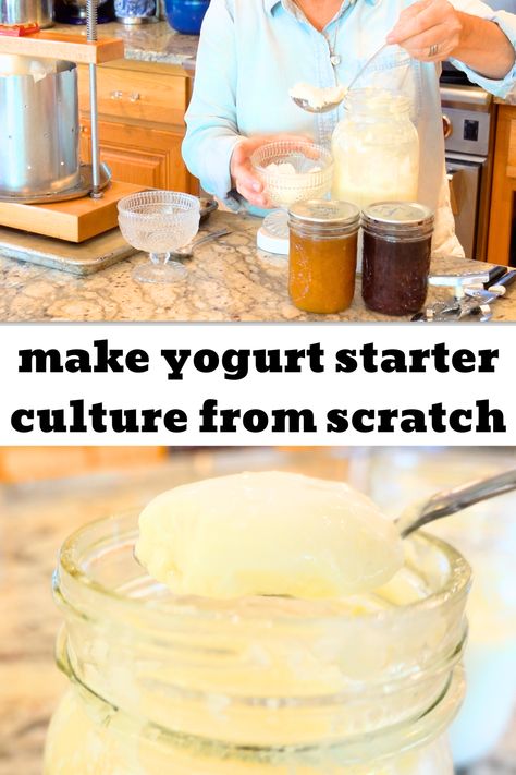 Homemade Yogurt Starter Culture, Yogurt Sourdough Starter, Homemade Yogurt Without Starter, Yogurt Culture How To Make, How To Make Your Own Yogurt, Yogurt Starter Recipe, Make Yogurt Homemade, How To Make Yogurt Bites, Making Yogurt Homemade