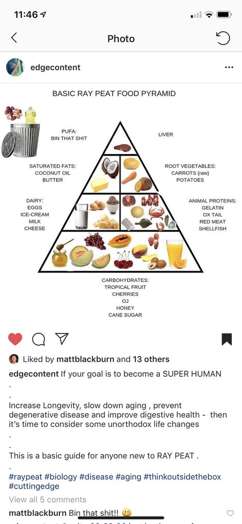 Ray Peat Food Pyramid Kate Deering Recipes, Ray Peat Meal Plan, Ray Peat Meals, Pro Metabolic Meals, Ray Peat Recipes, Ray Peat Diet, Pro Metabolic Lunch, Ray Peat, 2023 Food Pyramid