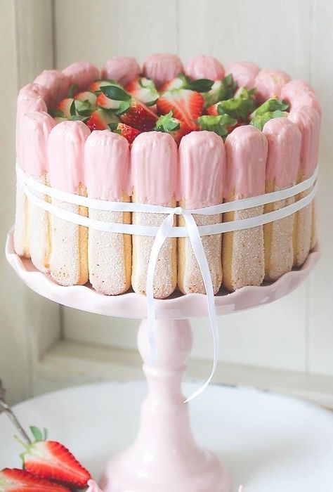 Strawberry Tiramisu, Patisserie Fine, Charlotte Cake, Lady Fingers, Cake Decorating Techniques, Pretty Cakes, Creative Cakes, Pavlova, Cake Inspiration