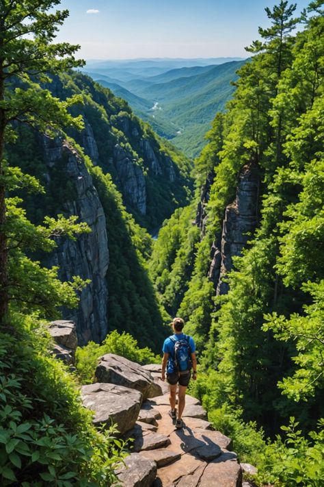 Adventure in the Blue Ridge: Hiking and Sightseeing in South Carolina&#8217;s Mountains South Carolina Homes, Whitewater Rafting, Mountain River, Majestic Mountains, Mountain Trails, Mountain Town, Blue Ridge Mountains, Scenic Drive, Blue Ridge