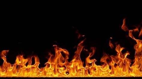 Fire Flames Igniting and Burning Stock Footage Video (100% Royalty-free) 1006669444 | Shutterstock Banner Shapes, Lions Photos, Fire Flames, Fire Image, Fire Photography, Fire Video, Motion Backgrounds, Background Images Hd, Galaxy Phone Wallpaper