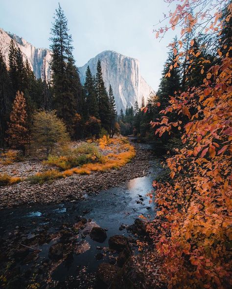 Colours of #Yosemite 🍁 Photos by @dylankato Share your story: #roamtheplanet Medical Emergency, Travel Car, Yosemite Falls, Underwater Creatures, Autumn Scenery, Aid Kit, Outdoor Survival, Travel Alone, Yosemite National